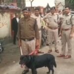 धनबाद : डॉग स्क्वॉड की टीम ने धनबाद सिविल कोर्ट में की सुरक्षा जांच