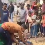 धनबाद : आवारा कुत्तों के झुंड ने 5 वर्ष के बच्चे को नोच खाया, हुई दर्दनाक मौत