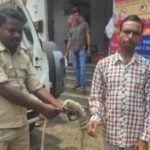 जामताड़ा : 26 वर्षों से पत्नी के हत्या मामले में फरार चल रहे अभियुक्त को पुलिस ने पश्चिम बंगाल से किया गिरफ्तार