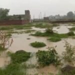 जामताड़ा : किसानों की सुविधा के लिए कराया गया तालाब जीर्णोद्धार अब उनके लिए बना परेशानी का कारण