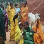 जामताड़ा : घरेलू कलह में पति ने कुल्हाड़ी से मार कर की पत्नी की निर्मम हत्या, खुद भी हुआ घायल